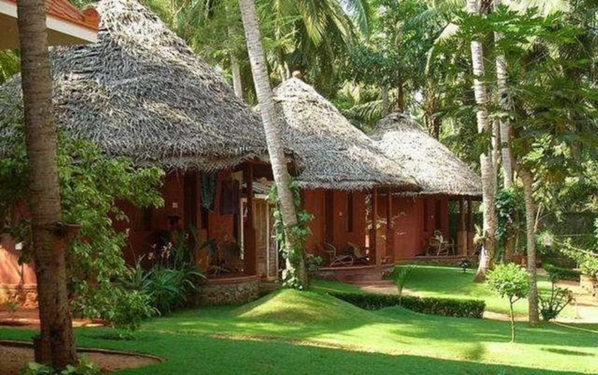 Best 200 Hour Yoga Teacher Training in India - Goa